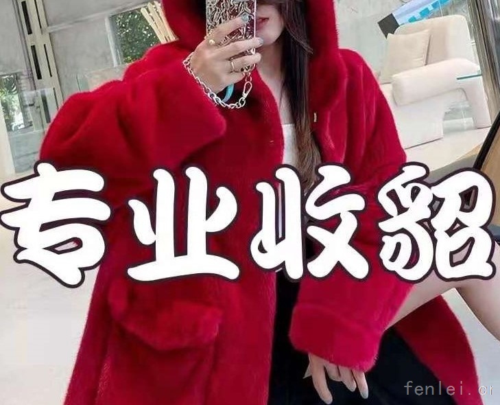 德州地区回收貂皮#德州市貂皮回收#上门收购皮草紫貂